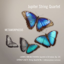 04 JQ Metamorphosis cover