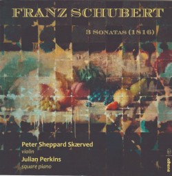 06 Schubert Skaerved