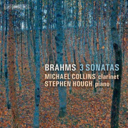 09a Brahms Clarinet