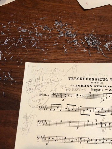 The player markings that have accumulated in this part for the "Vernügunszug" or "Excursion Train" polka indicate that the conductor will be beating in 1 (or maybe in 2) and that the repeat should be taken in the da capo (or not). Photo by Gary Corrin.