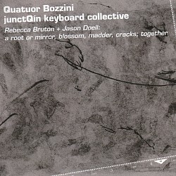 Rebecca Bruton: a roof or mirror, blossom, madder,...