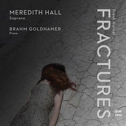 Frank Horvat: Fractures - Meredith Hall; Brahm Gol...