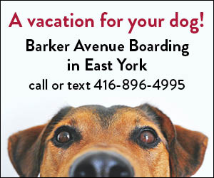 BarkerAvenueDogs-28-MAR