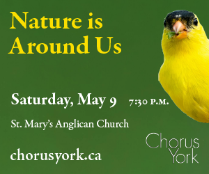 Chorus York_BB_10-MAY