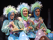 Canadian Childrens Opera Company