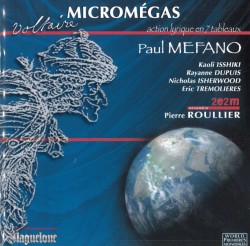 02 vocal 06 mefano micromegas