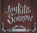 01 editor 05 joy kills sorrow