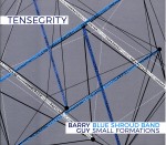 04 Tensegrity