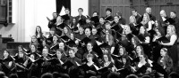 Univox