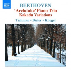 01 Beethoven Trios 260