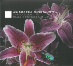 01 Boccherini Concerto