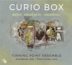04 Curio Box