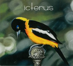 04 Icterus