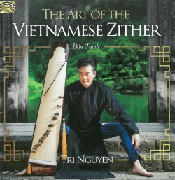 04 Vietnamese Zither