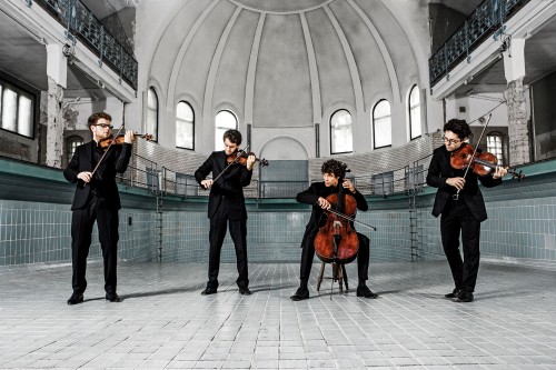 vision string quartet