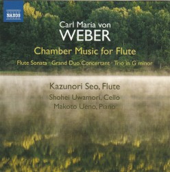 01 Weber Flute