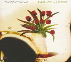 06 Transient Canvas