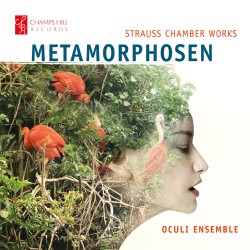 09 Strauss Chamber