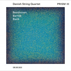 07 Danish Prism III