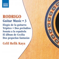 09 Rodrigo Guitar 3
