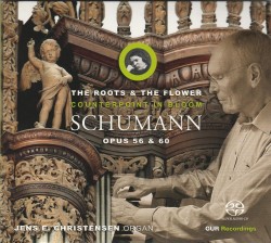 04 schumann organ tjmhs
