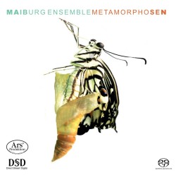 13 Maiburg Metamorphosen Cover
