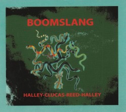 04 Boomslang