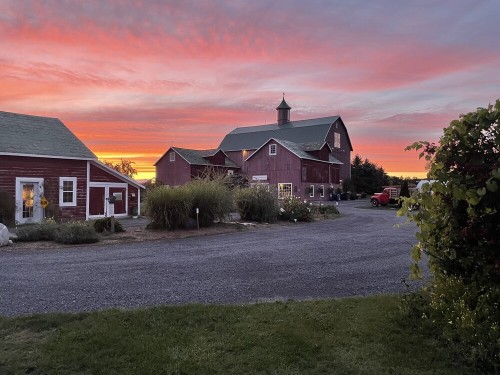 The Shape of Home: July 14-31 in the Red Barn Theatre (Eddie Hotel & Farm, Prince Edward County)