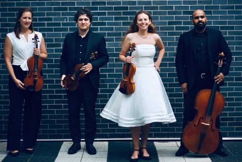 Venuti String Quartet. Photo by Nathan Hiltz.