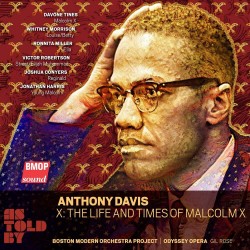 09 Anthony Davis Malcolm X