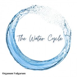 01 The Water Cycle