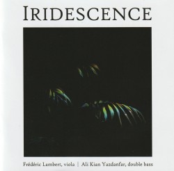 02 Iridescence