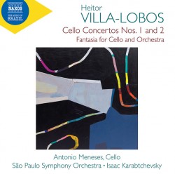 14 Villa Lobos