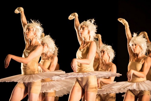 Canadian choreographer Marie Chouinard’s "Le Chant du Cygne: Le Lac". Courtesy of Marie Chouinard.