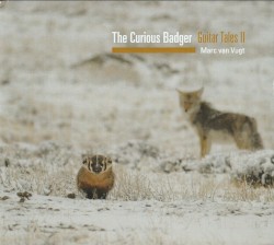 05 Curious Badger