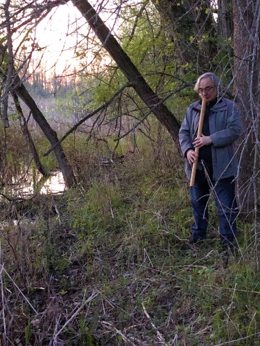 Andrew Timar, playing suling gambuh at Frog Bog Soundwalk Presquile Provincial Park, May 2024