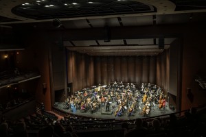 The Rose Orchestra