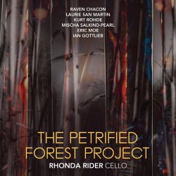 07 Petrified Forest Project
