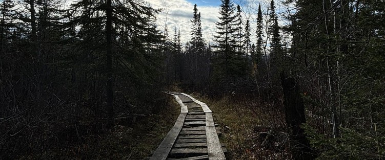 The annex trail, late autumn, Hornepayne ON. Photo by Alyssa DVM