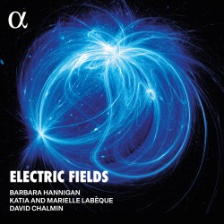 05 Hannigan Electric Fields