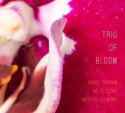 07 Trio of Bloom