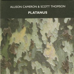 05 Platanus