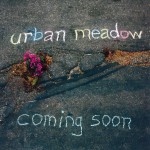 04_urban_meadow