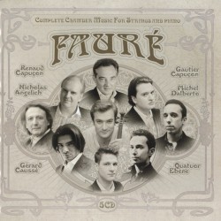 08_faure_chamber