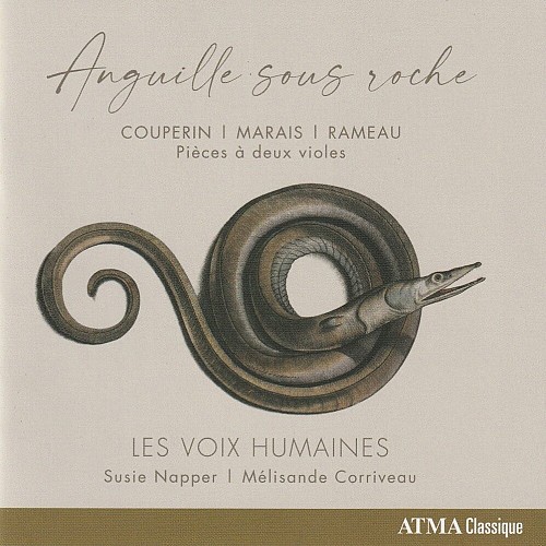 Anguille sous roche (M...