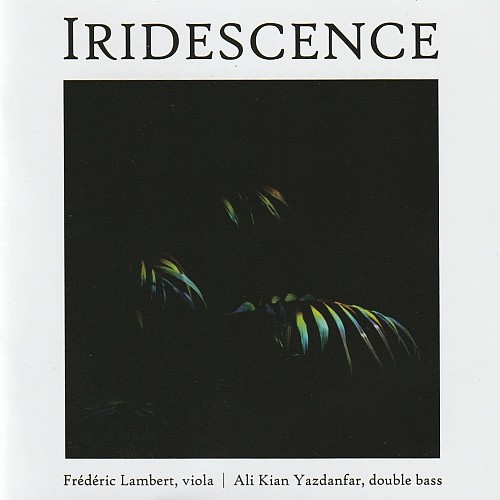 Iridescence - Frédéric...