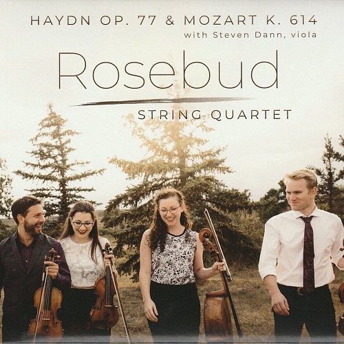 Haydn & Mozart - Roseb...