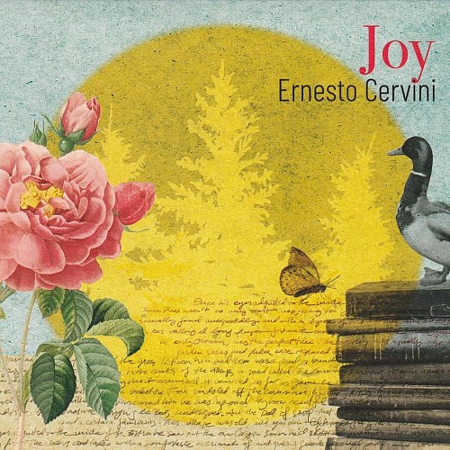 Joy - Ernesto Cervini